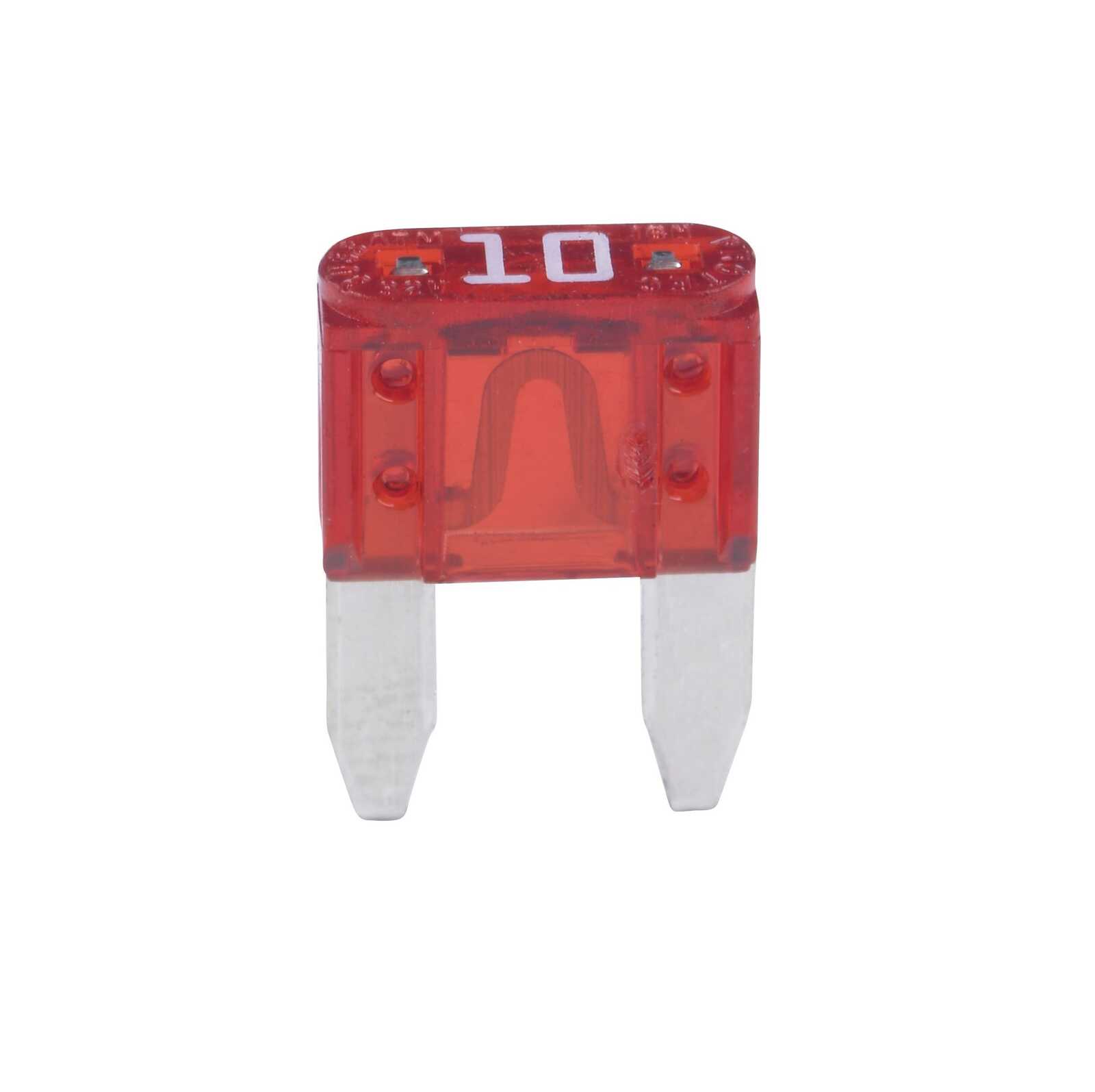 Foto do produto Fusível Micro 10 AMP.