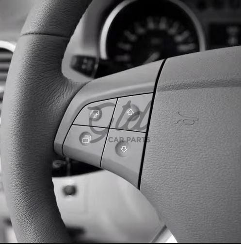 Botoes-Volante-Cinza-Mercedes-Benz-W164-1