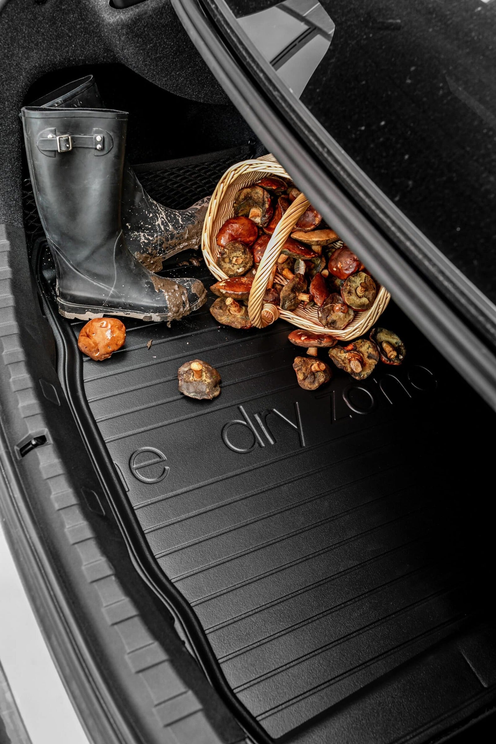 DZ_5