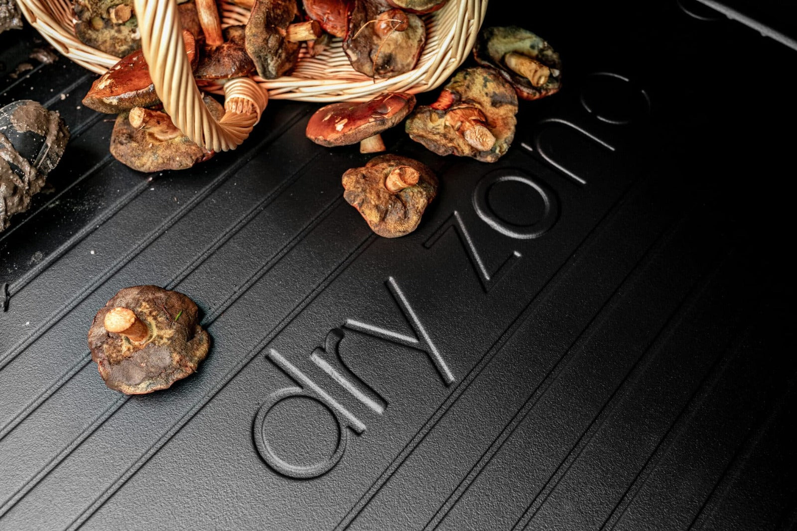 DZ_1
